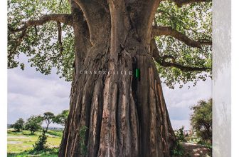 CHANTECAILLE Advent Calendar 2021