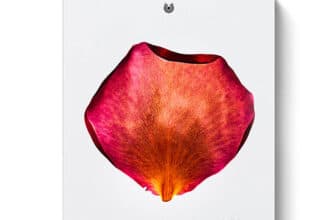 Dr. Hauschka Adventskalender 2025 „daily delight“ 24 gifts from nature