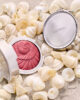 Catrice Limited Edition SEASHELL STORIES