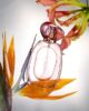 Catrice THE SUMMER EDIT Limited Edition