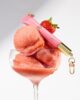 Catrice THE SUMMER EDIT Limited Edition