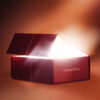 Charlotte Tilbury Mystery Beauty Box & Bag