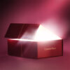Charlotte Tilbury Mystery Beauty Box & Bag