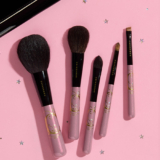 Chikuhodo Collection 2025 Antique Pink Brush Set