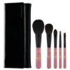 Chikuhodo Collection 2025 Antique Pink Brush Set