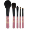 Chikuhodo Collection 2025 Antique Pink Brush Set
