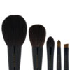 Chikuhodo Collection 2025 Antique Pink Brush Set