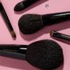 Chikuhodo Collection 2025 Antique Pink Brush Set