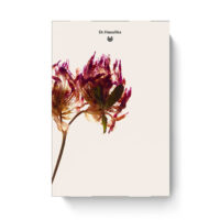 Dr. Hauschka Adventskalender 2026 bliss