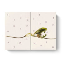 Dr. Hauschka Adventskalender 2026 bliss