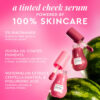 Glow Recipe Watermelon Glow Niacinamide Dewy Flush