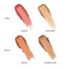 Kevyn Aucoin Beauty The Art of Blush & Glow