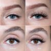 LH cosmetics The lash collection