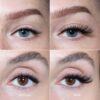 LH cosmetics The lash collection