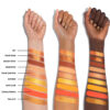 Morphe Heatseeker Collection – jetzt in Deutschland erhältlich
