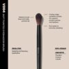 Morphe Vegan Pro Series Pinsel jetzt in Deutschland erhältlich