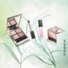 SUQQU WHISPERS OF SUNLIGHT – Pre-Summer Collection 2026 – jetzt erhältlich