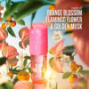 Sol de Janeiro Limited Edition Perfume Mist
