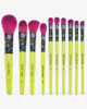Spectrum Collections The Neon Wonderland Collection