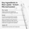 The Ordinary Rice Lipids + Ectoin Microemulsion