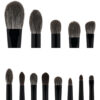 Wayne Goss The Collector’s Edition