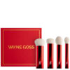 Wayne Goss The Holiday Set