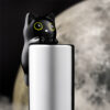 essence MIDNIGHT MEOW cat-eye shiny Lipgloss